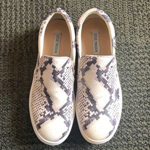 NEW Steve Madden Gills Snakeskin Sneakers